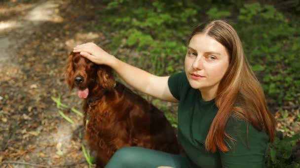 屋外でアイルランドのセター犬と魅力的な若い女性 夏の森の緑の草の上の女の子 ペットと一緒に旅する キャンプ ハイキング — ストック動画
