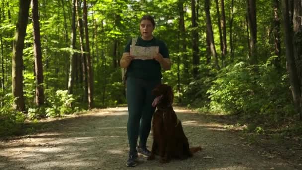 アイルランドのセター犬と共に失われた女性が地図を持っており 森の中の観光客である 若いブルネットは 紙の地図を保持し 見ています 夏の季節に森でハイキング 高品質のフルHd映像 — ストック動画