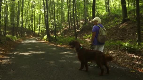 Senior Vacker Kvinna Promenader Med Renrasig Irländsk Setter Hund Som — Stockvideo