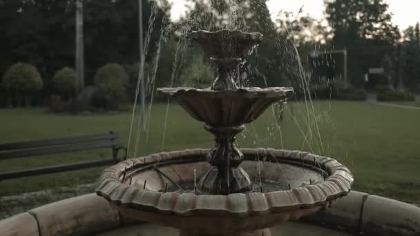 Fontaine Eau Acier Inoxydable Dans Parc Public Des Images Fullhd — Video