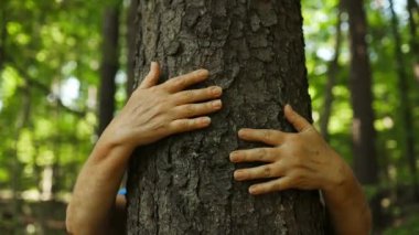 Bir kadın doğa ormanında yeşil bir ağaç gövdesine misk kokusuyla sarılıyor. Ormanların tahrip edilmesinden tasarruf. Korunma. Yüksek kaliteli FullHD görüntüler