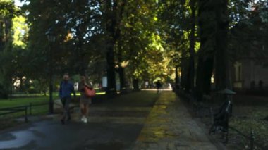 Şehir parkının çimlerinde dinlenen bir sürü insan. Halk parkında çimde dinlenen insanlar yüksek kaliteli FullHD görüntüler. Krakow, Malopolska, Polonya 