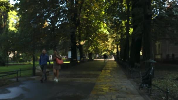 Dav Lidí Odpočívajících Trávníku Městského Parku Lidé Odpočívající Trávě Veřejném — Stock video