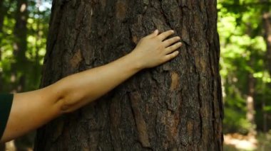 Ormanda bir ağaca dokunan genç bir kadın eli, çevreyi koruma kavramı. Yüksek kaliteli FullHD görüntüler