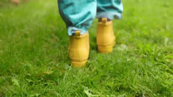 Vista Posterior Los Pies Mujer Agricultora Botas Amarillas Camina Través — Vídeo de stock