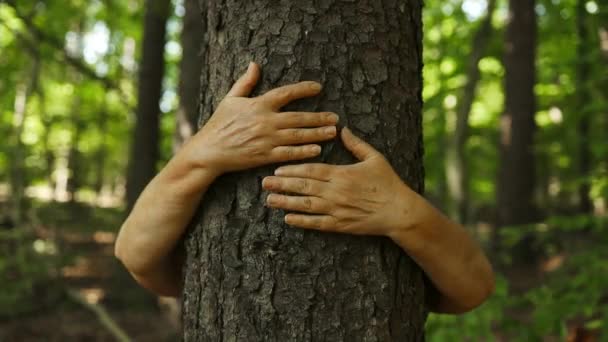 Uma Mulher Abraçando Uma Árvore Tronco Verde Com Almíscar Floresta — Vídeo de Stock