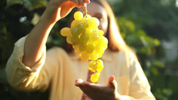 在葡萄园工作的年轻女农民 快乐的女人带着新鲜多汁的白色葡萄浆果在农田里 健康食品和地方耕作 有机食品和精制葡萄酒 — 图库视频影像