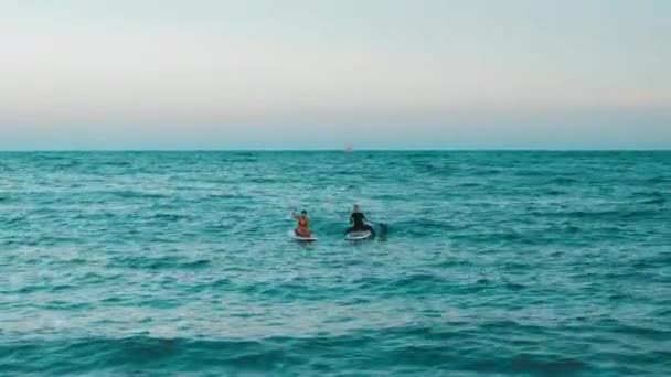 2人の幸せなスリムな女の子が夕暮れの穏やかな湖でパドルボードの上を歩いています 高品質の4K映像 — ストック動画