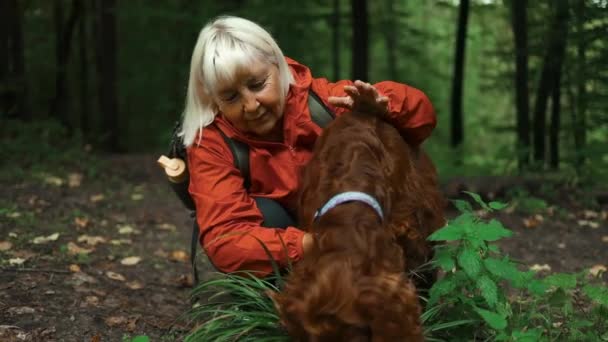 ハッピー50代の女性は 春の森で彼女の大きなアイルランドのセッター犬を日没に抱きしめている 健康と健康のための運動 フィットネス トレッキングのための自然の中でシニアハイキングと犬 オールド — ストック動画