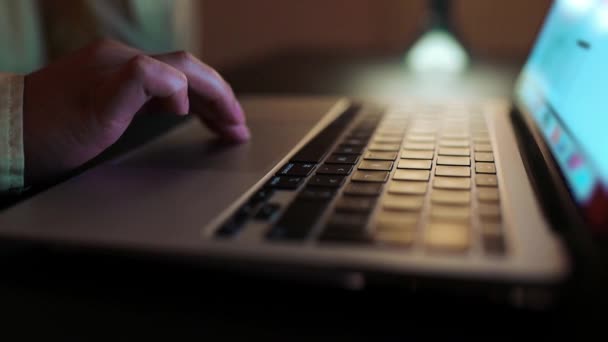 商务女性专业用户的女性手使用笔记本电脑键盘打字 午饭时间坐在咖啡店里 与Pc软件应用技术理念在线合作 闭合侧视图 — 图库视频影像