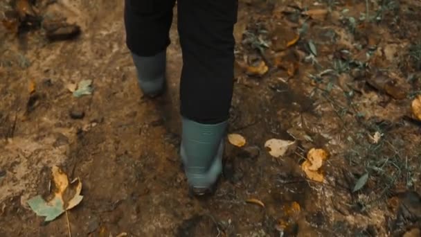 Крупним Планом Жіночі Ноги Дощовим Взуттям Дерев Яній Доріжці Лісі — стокове відео