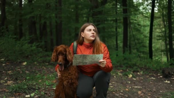 Sorglig Orolig Kvinnlig Upptäcktsresande Med Irländska Setter Hund Promenader Natur — Stockvideo