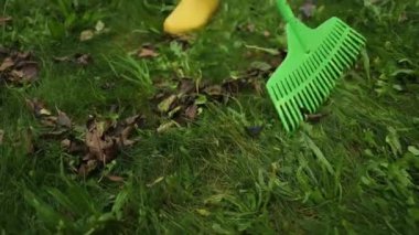 Sonbaharda yaprakları dökülen tırmık. Kadın sonbahar parkını sarı yapraklardan temizliyor. Gönüllü olmak, temizlik ve ekoloji kavramı. Mevsimlik bahçıvanlık.