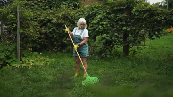 Rake Frunze Căzute Toamnă Femeia Curăță Parcul Toamnă Frunze Galbene — Videoclip de stoc