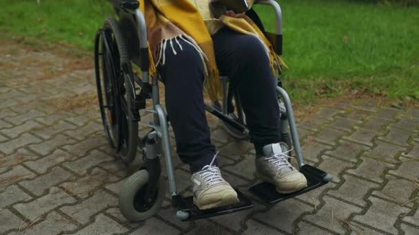 Parkta Yürürken Kadın Eli Tekerlekli Sandalyede Bahar Doğasında Tekerlekli Sandalyede — Stok video