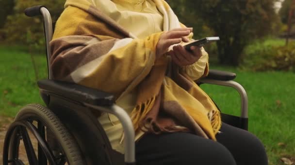 秋天里 人们在公园里用手机 看新闻 在社交网络上交流等方式观看身穿亮丽时髦衣服的身体残疾妇女的照片 高质量的照片 — 图库视频影像
