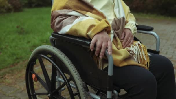 老年妇女坐在轮椅上享受户外生活 高质量的Fullhd录像 — 图库视频影像