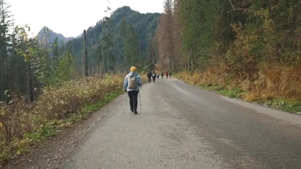 掉下去背包客女人徒步旅行 秋天在山路上散步很开心 在波兰 欧洲的探险旅行 健康的生活方式 — 图库视频影像