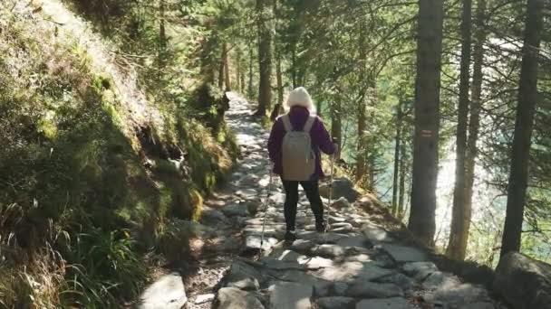 가을이요 여자는 하이킹 산에서 경로를 폴란드 유럽에서 건강한 라이프 스타일 — 비디오