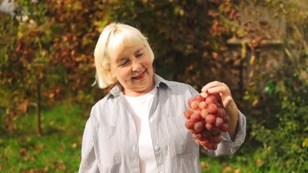 ブドウの収穫について 農民は新しく収穫されたピンクのブドウを手で握ります 高品質のフルHd映像 — ストック動画