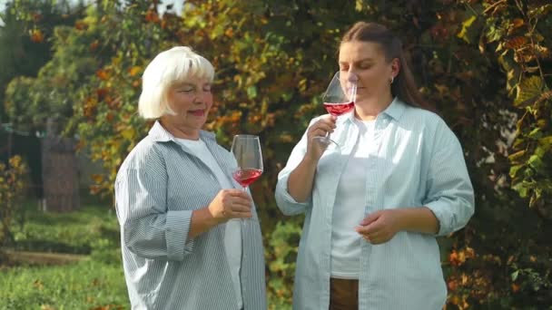 Женщина Говорит Тост Шампанским Вечеринке Друзьями Вино Успеха Ресторане Напитки — стоковое видео