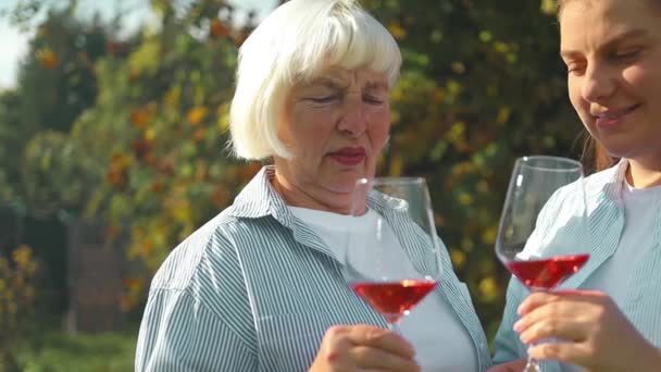 Žena Mluví Přípitek Oslavou Šampaňského Párty Přáteli Víno Pro Úspěch — Stock video