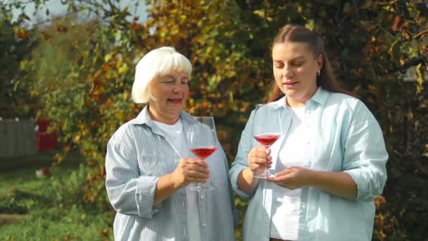 女人在聚会上和朋友们一起庆祝香槟 在餐馆喝酒庆祝成功 在社交活动上喝酒庆祝 — 图库视频影像