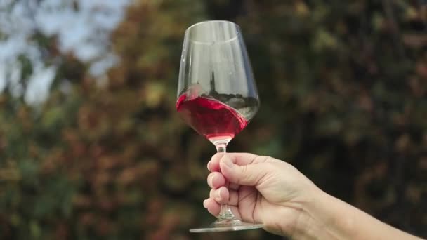 Mulher Segurando Copo Vinho Tinto Monte Uvas Pretas Vinha Conceitos — Vídeo de Stock