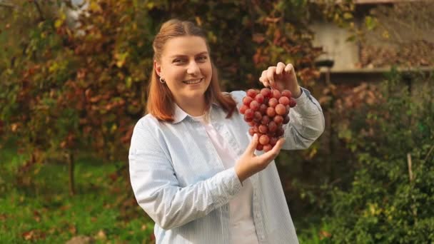 Récolte Raisins Mains Fermiers Avec Des Raisins Roses Fraîchement Récoltés — Video
