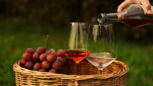Сомельє Наливає Вино Склянку Дегустаційного Рожевого Вина Збиранні Винограду Виноградник — стокове відео