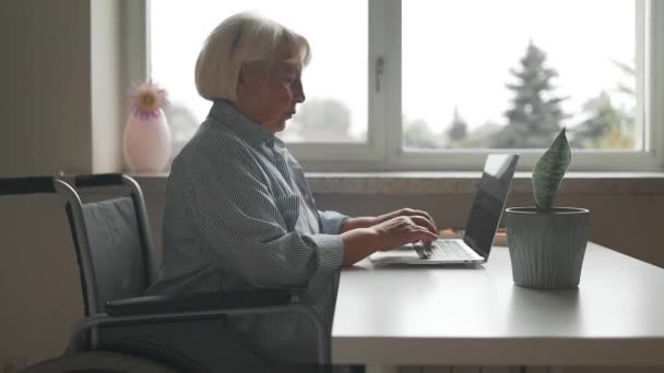 Selbstbewusste Glückliche Geschäftsfrau Rollstuhl Die Schreibtisch Arbeitet Und Einen Laptop — Stockvideo