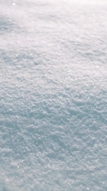 Śnieg Pada Zimowy Las Natura Śnieg Zima Powoli Spadający Efekt — Wideo stockowe