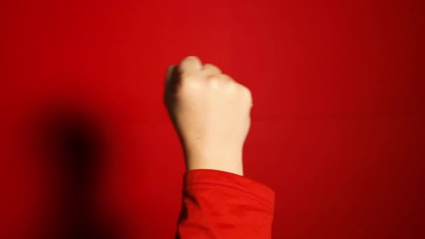 Nők Kezei Ökölmozdulattal Elöl Hátul Piros Háttérrel Alfa Tiltakozom Csapatmunka — Stock videók