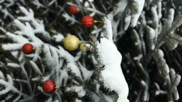 ハッピーニューイヤークリスマスツリーは バックグラウンド上の枝の雪に赤いガラスボールで飾られています 火の木の枝に雪が降っている フェスティバルムード ノエル 高品質のフルHd映像 — ストック動画
