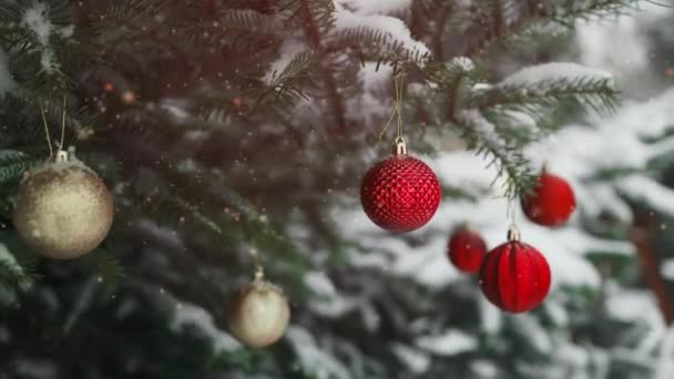 2024 Bonne Année Sapin Noël Décore Avec Boule Verre Rouge — Video