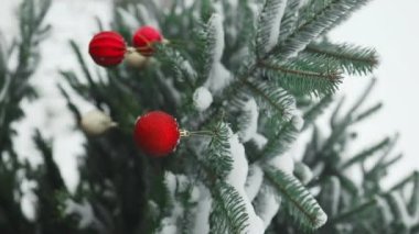 2024 Mutlu Yıllar Noel ağacı aile bayramı için açık havada açık havada kırmızı cam top ile süslenmiştir. Festival havası. Noel. Yüksek kaliteli FullHD görüntüler