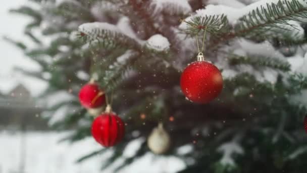 2024 Mutlu Yıllar Noel Ağacı Aile Bayramı Için Açık Havada — Stok video