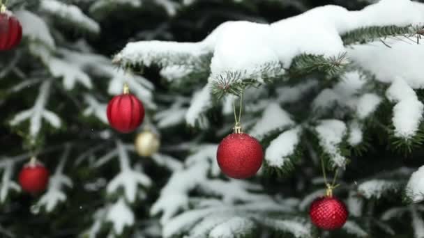 2024 Gelukkig Nieuwjaar Kerstboom Versiert Met Rood Glas Bal Tak — Stockvideo