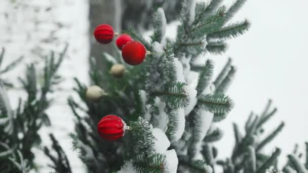 2024 Godt Nytår Juletræ Dekorerer Med Rød Glaskugle Gren Sne – Stock-video