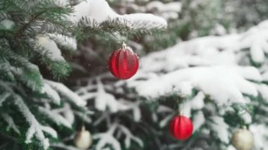 Yılbaşı ağacı, arka plandaki kar dalında kırmızı cam top ile süslenir. Köknar ağaçlarının dallarına kar yağıyor. Festival havası. Noel. Yüksek kaliteli FullHD görüntüler
