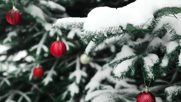 Sluiten Van Ballen Kerstboom Bokeh Bloemenslingers Achtergrond Nieuwjaarsconcept Hoge Kwaliteit — Stockvideo