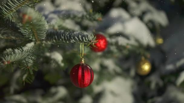 Joyeux Nouvel Arbre Noël Décore Avec Boule Verre Rouge Sur — Video