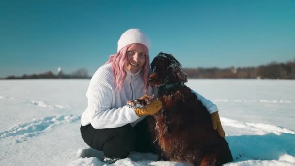 クリスマスデー 暖かい服で幸せな若いピンクの髪の女性は日没時に雪の冬の森の屋外で彼女のアイルランドのセッターの犬を抱きます 高品質のフルHd映像 — ストック動画