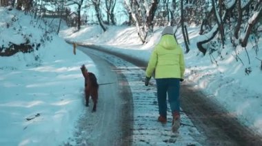 Kış parkında köpeğini gezdiren 60 'ların güzel yaşlı kadınının akşam vakti mutlu bir anı.. 