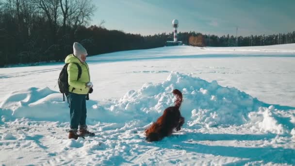 ハッピーな美しい50代女性は冬の休日に雪の活動を楽しむ彼女の犬のアイリッシュセッターに彼女の手から雪片を吹き飛ばします 人と動物が一緒に楽しく笑顔で — ストック動画
