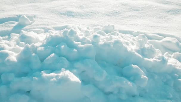 Inverno Sfondo Luminoso Paesaggio Natalizio Con Cumuli Neve Rami Pino — Video Stock