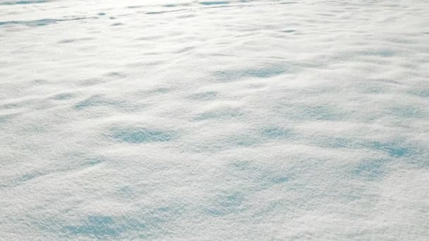 Zimní Pozadí Sněhu Mrazu Krásné Zimní Pozadí Široký Formát Panorama — Stock video