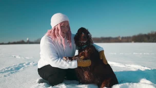 クリスマスデー 暖かい服で幸せな若いピンクの髪の女性は日没時に雪の冬の森の屋外で彼女のアイルランドのセッターの犬を抱きます 高品質のフルHd映像 — ストック動画