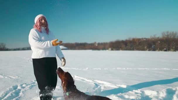 ハッピーな美しい若い女性は 冬の日の休暇中に冬の雪の活動を楽しんで彼女の犬アイリッシュセッターに彼女の手から雪片を吹く 人と動物が一緒に楽しく笑顔で — ストック動画