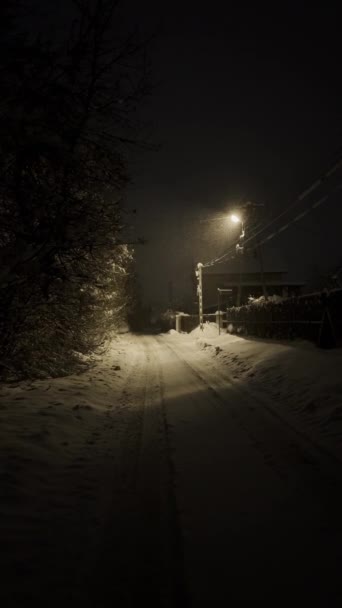 冬の夜に街路の近代的な街灯で降る雪のバックライト 公園の明るい光で照らされた雪片 雪の嵐 そして強い風 高品質のフルHd — ストック動画